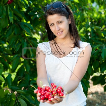 Beautiful young girl picking cherries