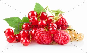 set fresh berries with green leaf
