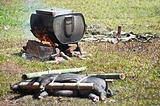 Traditional Toraja animal sacrifice