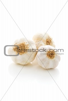 Garlic on white isolated background