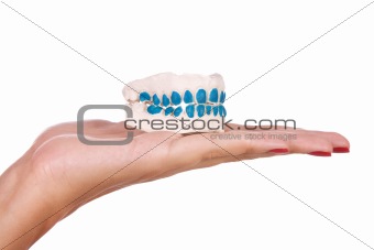 Artificial jaw in hand