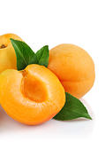 apricot fruits with green leaf