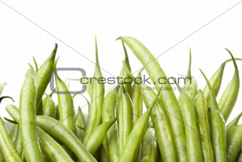 A fresh green string bean