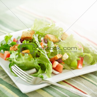 salad with beaming sunlight