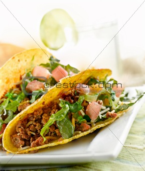 closeup taco meal