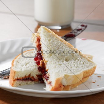 Peanut butter and jelly sandwhich