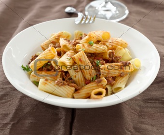 rigatoni pasta with a tomato beef sauce