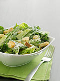 Caesar salad with coypspace