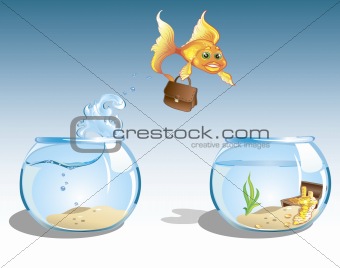 business goldfish