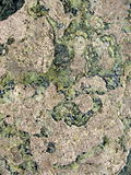 green river stone texture