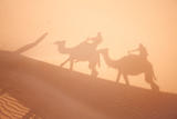 Camel shadows on  Sahara sand.