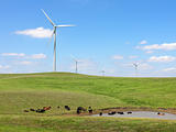 Electric Windmills