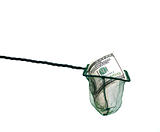 money in fishing net
