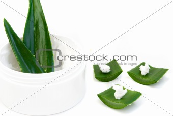 aloe vera leaves and cream