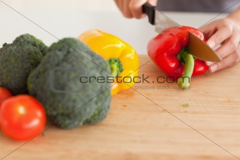 Woman hands cooking vegetables while standing