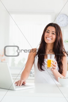 Attractive woman relaxing with her laptop while holding a glass 
