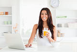 Beautiful woman relaxing with her laptop while holding a glass 