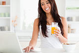 Charming woman relaxing with her laptop while holding a glass 