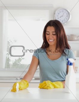 Lovely woman doing the housework