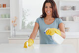 Beautiful female doing the housework while using a spray