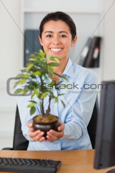 Gorgeous woman holding a plant while looking at the camera