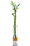 Glass jar with bamboo 