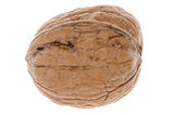 Simple wallnut