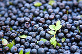 Fresh blueberries 