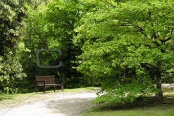 Empty bench in the park