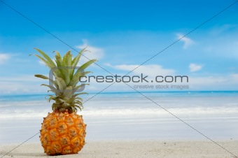 Pineapple on exotic beach