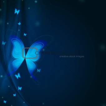 blue butterflys