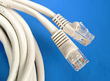 Close up view of some computer Ethernet cables