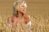 blonde sitting on a field of wheat