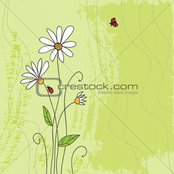 Ladybug on chamomile flower and grunge green grass background 
