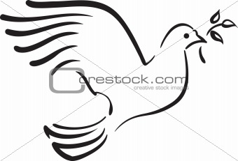 Vector white dove with  branch