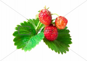 three strawberries