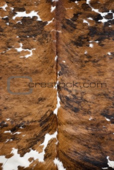Brown and white real cow skin
