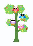 colorful owls in a tree