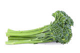 Baby Broccoli 