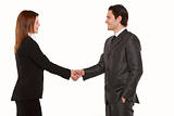 businessman and businesswoman shaking hands