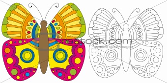 Colorful butterfly over white background