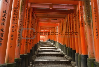 Fushimi Inari 