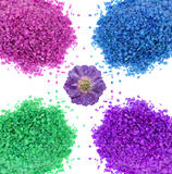 Multicolor sea bath salt and lavender flower over white backgrou