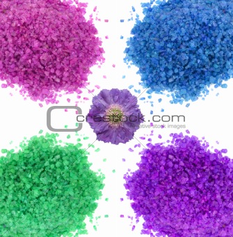 Multicolor sea bath salt and lavender flower over white backgrou