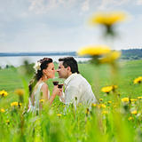 Wedding couple kissing on a grass