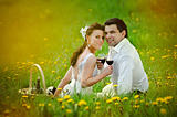 Bride and Groom drink a wine in the field of dandelion