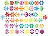 Colorful abstract flower collection