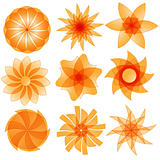 Orange abstract flower collection