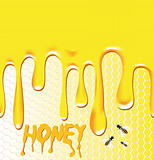 Honey background with honeycomb, bee, wax.