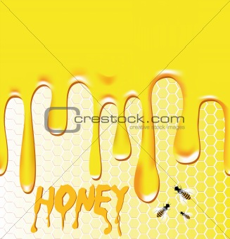 Honey background with honeycomb, bee, wax.